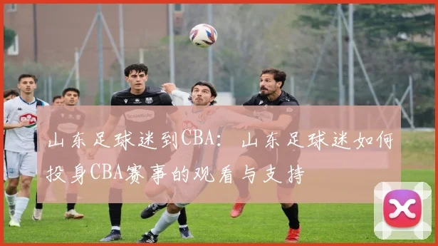 山东足球迷到CBA：山东足球迷如何投身CBA赛事的观看与支持