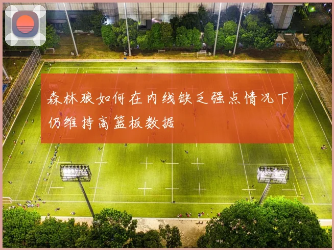 森林狼如何在内线缺乏强点情况下仍维持高篮板数据