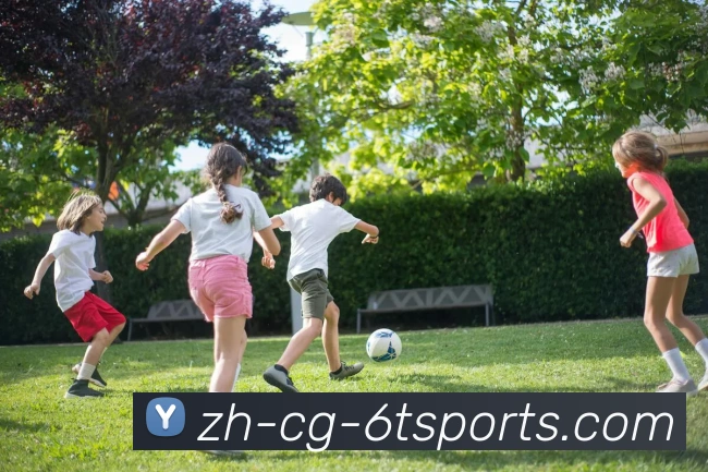 App Interface Preview